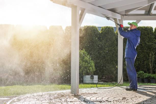 Boat and Dock Cleaning in Greenville, VA